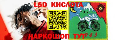 гидропоника Партизанск