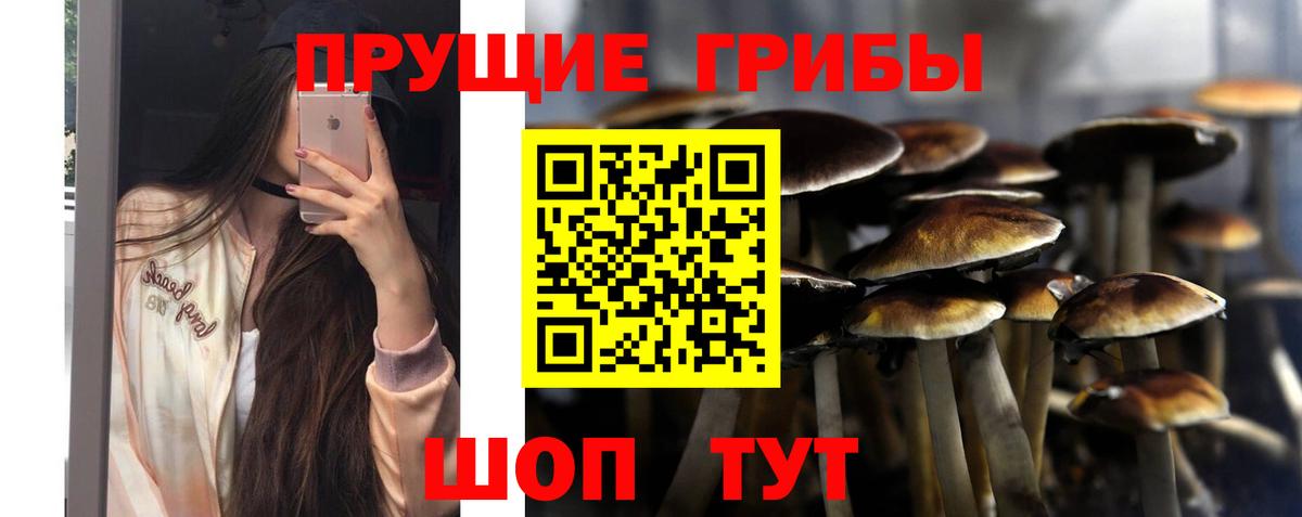 Галлюциногенные грибы Cubensis Тосно